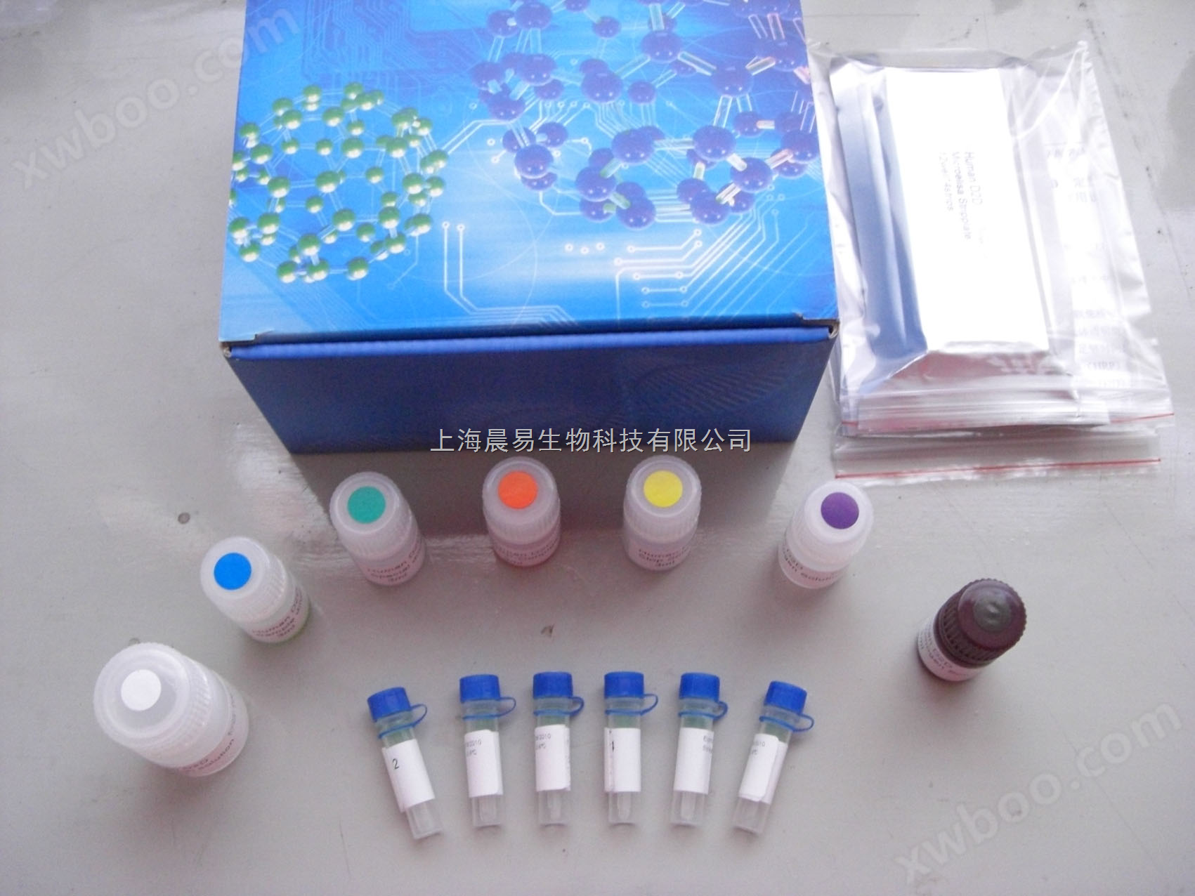 人骨成型蛋白2（BMP-2）ELISA 试剂盒