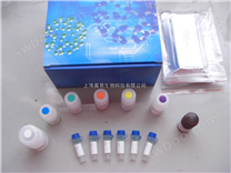 人角化细胞内分泌因子（KAF）/双调蛋白（AR）ELISA 试剂盒