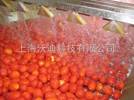 番茄酱加工设备生产线