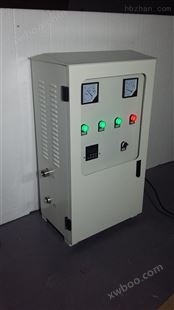 WTS-2W臭氧自洁器