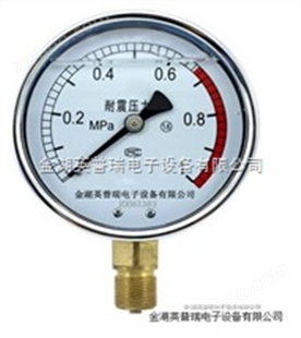 YN-60/100/150耐震压力表
