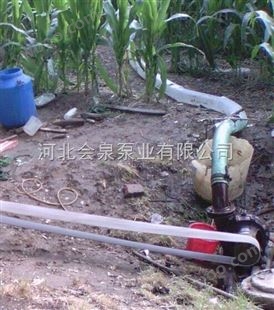 凤城市8寸农田排灌泵