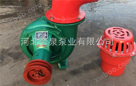 锦州市10寸浇地泵
