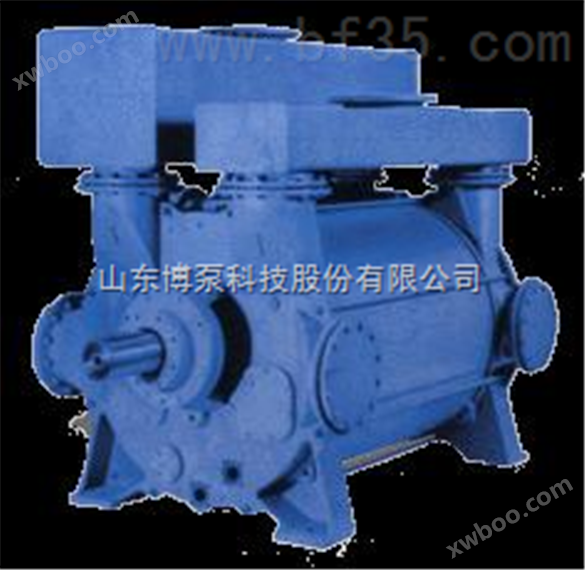 真空泵 博山水泵 中国泵业名城 博泵科技                    