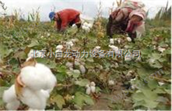 大型棉花采摘机 2013新疆采棉机 采棉机图片
