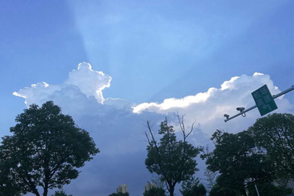 人工智能赋能医疗健康高质量发展 满足人民健康需求