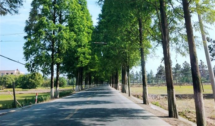 交通领域动态速览｜全运会首次由无人驾驶车参与火炬传递、深圳启动首批Robotaxi应用试点......